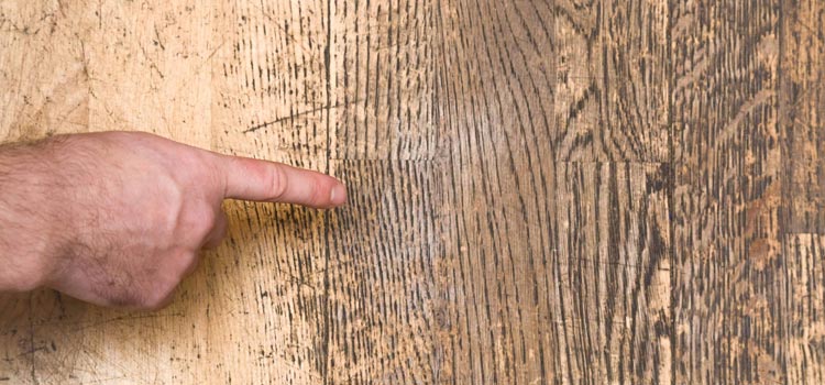 Wood Door Scratch Repair in West Palm Beach